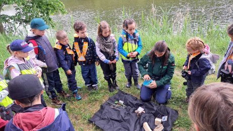 Bildgalerie Primarschule