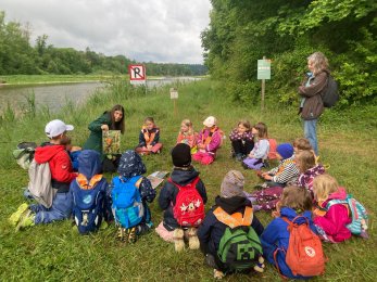 Bildgalerie Primarschule