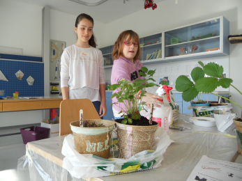 Bildgalerie Primarschule