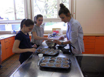 Foto- Videogalerie Primarschule