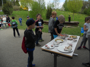 Foto- Videogalerie Primarschule